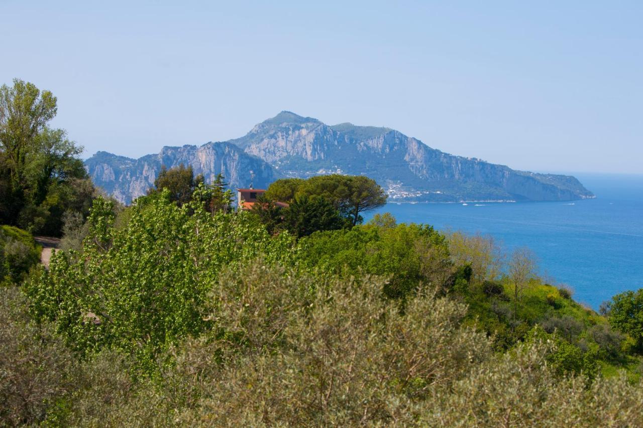 Villa Venus In Penisola Sorrentina Massa Lubrense Exterior foto