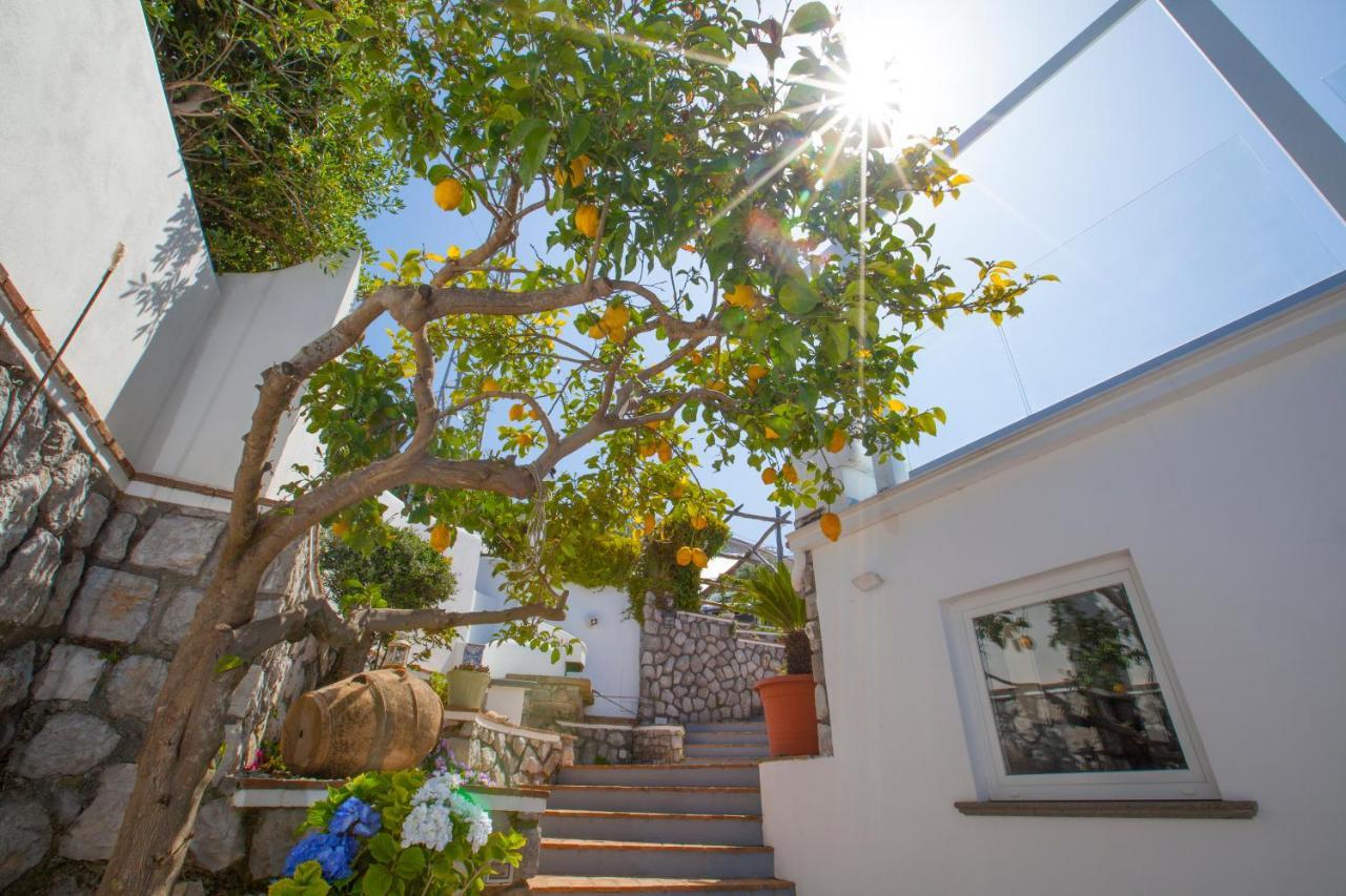 Villa Venus In Penisola Sorrentina Massa Lubrense Exterior foto