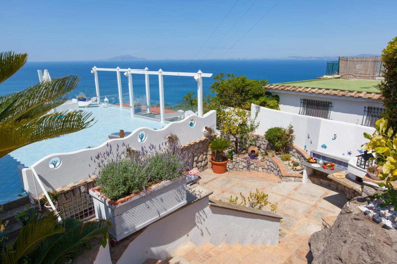 Villa Venus In Penisola Sorrentina Massa Lubrense Exterior foto